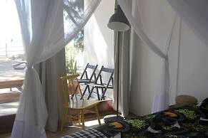 Liquid Dive Adventures