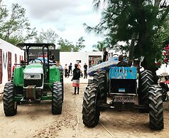 Liquid Dive Adventures