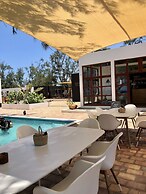 Liquid Dive Adventures