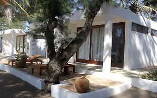 Liquid Dive Adventures