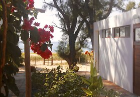 Liquid Dive Adventures