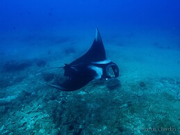 Liquid Dive Adventures