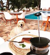 Liquid Dive Adventures