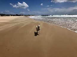 Liquid Dive Adventures