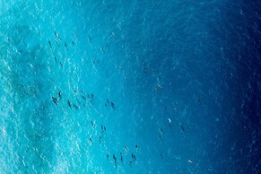 Radisson Blu Resort Maldives with 50 % off on Sea Plane round trip 03 