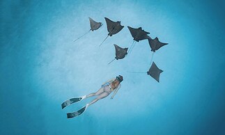 Radisson Blu Resort Maldives with 50 % off on Sea Plane round trip 03 