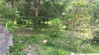 Kaswanga Farm Holiday Home