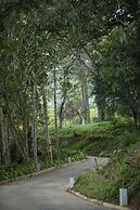 W15 Hanthana Estate Kandy