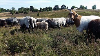 Ferienpark Auf dem Simpel