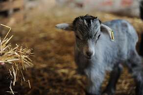 Vumba - The Bue-Maria Suite