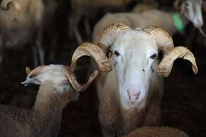 Vumba - The Bue-Maria Suite