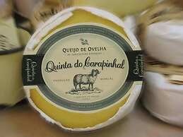 Vumba - The Gorongosa Suite