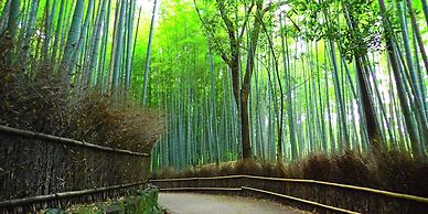 Rikyuan Kyoto Nishikyogoku