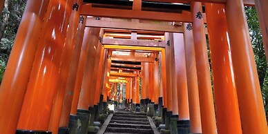 Rikyuan Kyoto Nishikyogoku