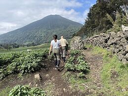Virunga Homestay & Campsites