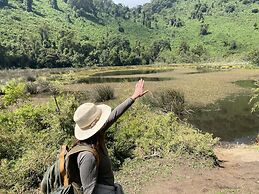 Virunga Homestay & Campsites