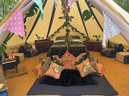 Hollington Park Glamping