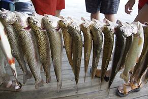 Jack's White River Fishing Resort