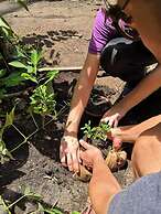Dream-Big Eco Hostel