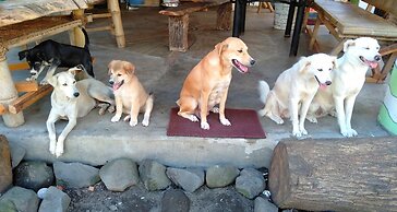 Dream-Big Eco Hostel