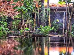 Dream-Big Eco Hostel