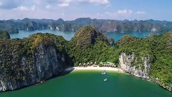 Aspira Cruises