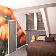 House of Tulips