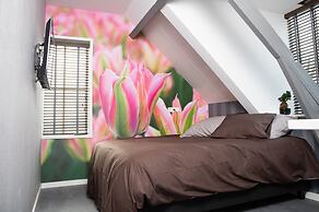 House of Tulips