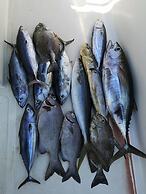 Charming Holiday Lodge