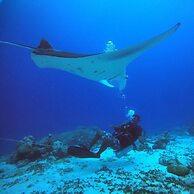 Charming Holiday Lodge