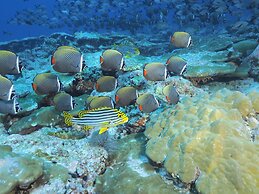 Charming Holiday Lodge