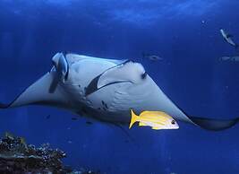 Charming Holiday Lodge