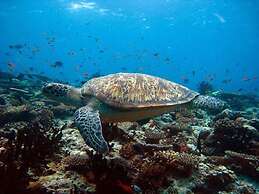 Charming Holiday Lodge