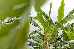 Escarpa - the Madeira Hideaway