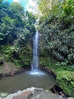 Bay Heights Bed and Breakfast