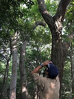 Guesthouse Mori No Eki