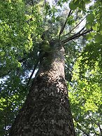 Guesthouse Mori No Eki