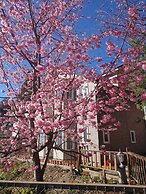 Chingjing New Paradise B&B