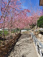 Chingjing New Paradise B&B