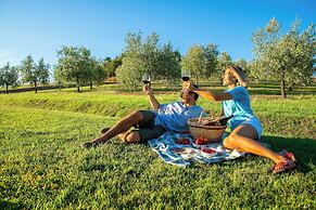 Agriturismo Palazzi del Papa