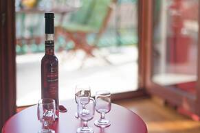 Aparthouse - Villa Napoleon