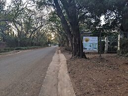 African Jungles campsites and Lodges