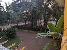 African Jungles campsites and Lodges