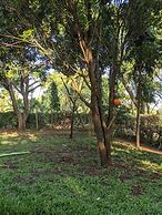 African Jungles campsites and Lodges