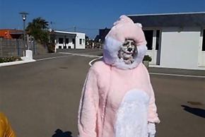 Camping Park Er Lann