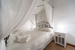 Rental in Rome Bramante Luxury