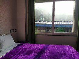 Hotel The Raja Palace