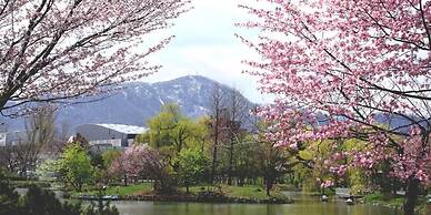 Park Avenue Nakajima