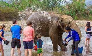 Pink Elephant Haveli - Hostel