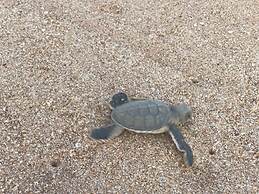 Ashansa Lagoon Resort